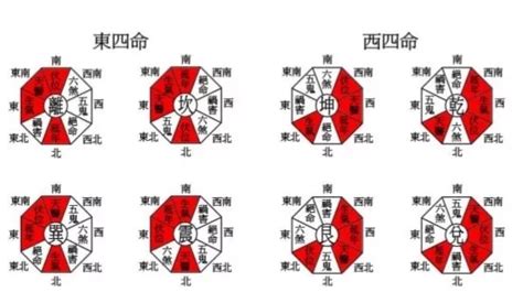 乾命(西四命)|八宅風水講解：什么是東四命與西四命？